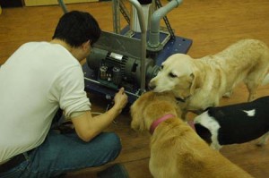 1380944659-3139206595