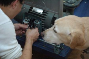 1380944660-227553559