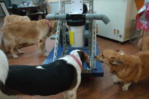 1380944660-2705283136