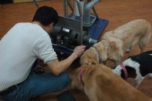 1380944661-1404244074