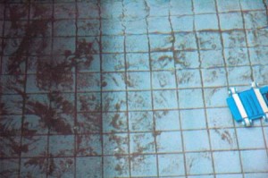 1380944661-821599625