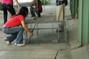 1380944670-2067158469