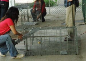 1380944670-2374964428