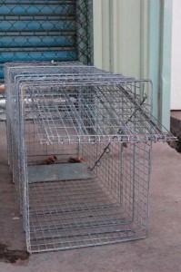 1380944671-4056109650