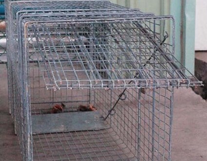 1380944671-4056109650