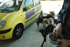 1380944672-3766375419