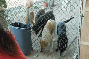 1380944673-1635396147