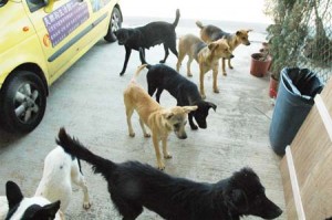 1380944673-3449884405