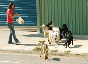 1380944675-2221358603