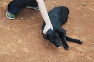 1380944676-118871472