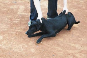 1380944676-1260211334