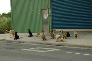 1380944677-241432056