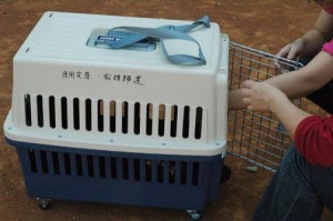 1380944677-3229105377