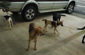 1380944690-721932304