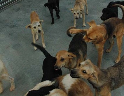 1380944691-2314791733