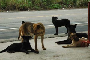 1380944692-118889076