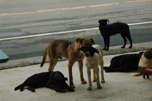 1380944692-1518769015