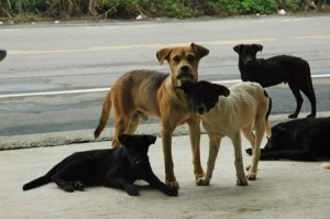 1380944692-2583496722