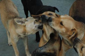 1380944693-1833058892