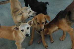 1380944693-4270863210