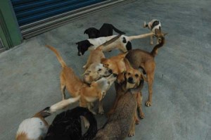 1380944694-2408762653