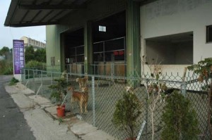 1380944694-742221181