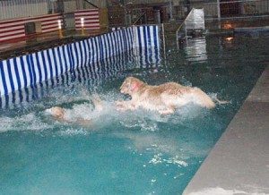 1380944736-4034716058