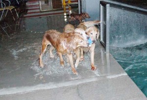 1380944737-1278534670