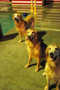 1380944737-634387692