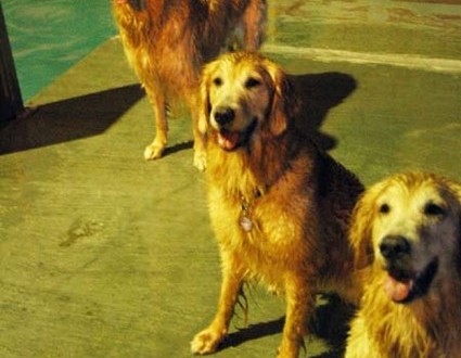 1380944737-634387692