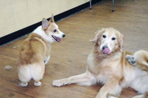 1380944739-3004385949