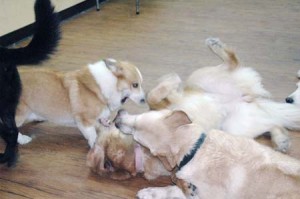 1380944739-669592749