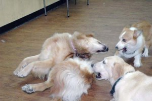 1380944740-3508255490