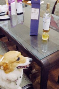 1380944742-1606698742