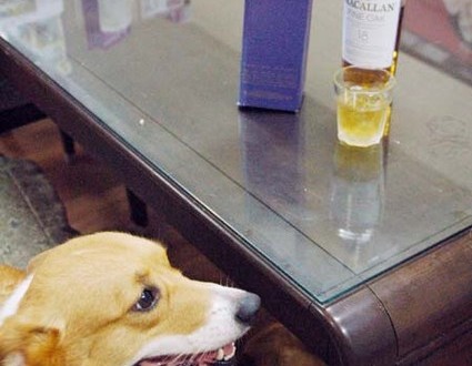 1380944742-1606698742