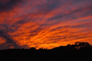 1380944745-536394042