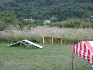 1380944746-635082621