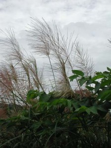 1380944746-775703180