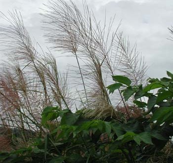 1380944746-775703180