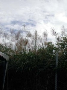 1380944747-3798509837