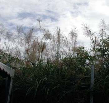 1380944747-3798509837