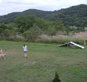 1380944747-411718120