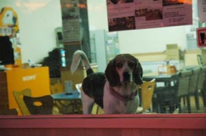 1380944748-1566325612