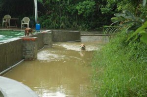 1380944771-169176452