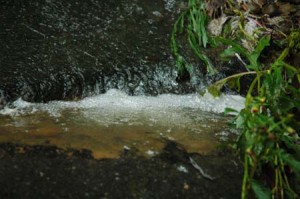 1380944773-1166148726