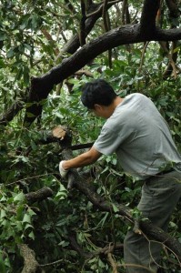 1380944774-1835122054