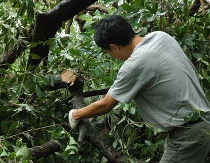 1380944774-1835122054