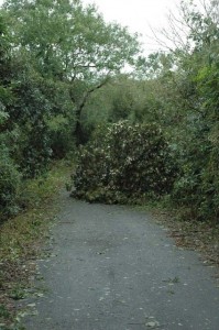 1380944774-3746736366