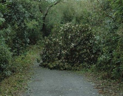 1380944774-3746736366