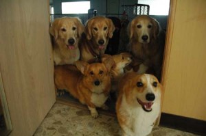 1380944788-2997990252